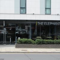 The Elephant