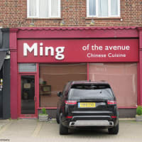 Ming of the Avenue